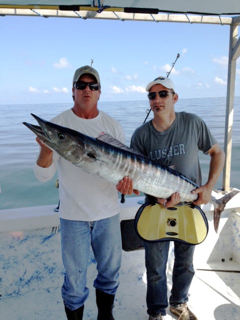 barracuda caught from charter fishing