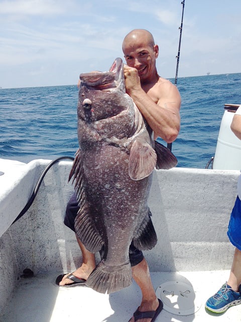 huge fish caught charter fishing in the gulf