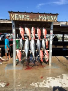 Fish caught from fishing charter