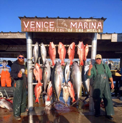 Fish caught of out Venice la