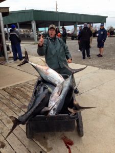 catching tuna offshore