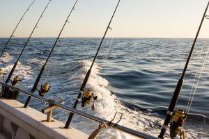 Louisiana fishing charters