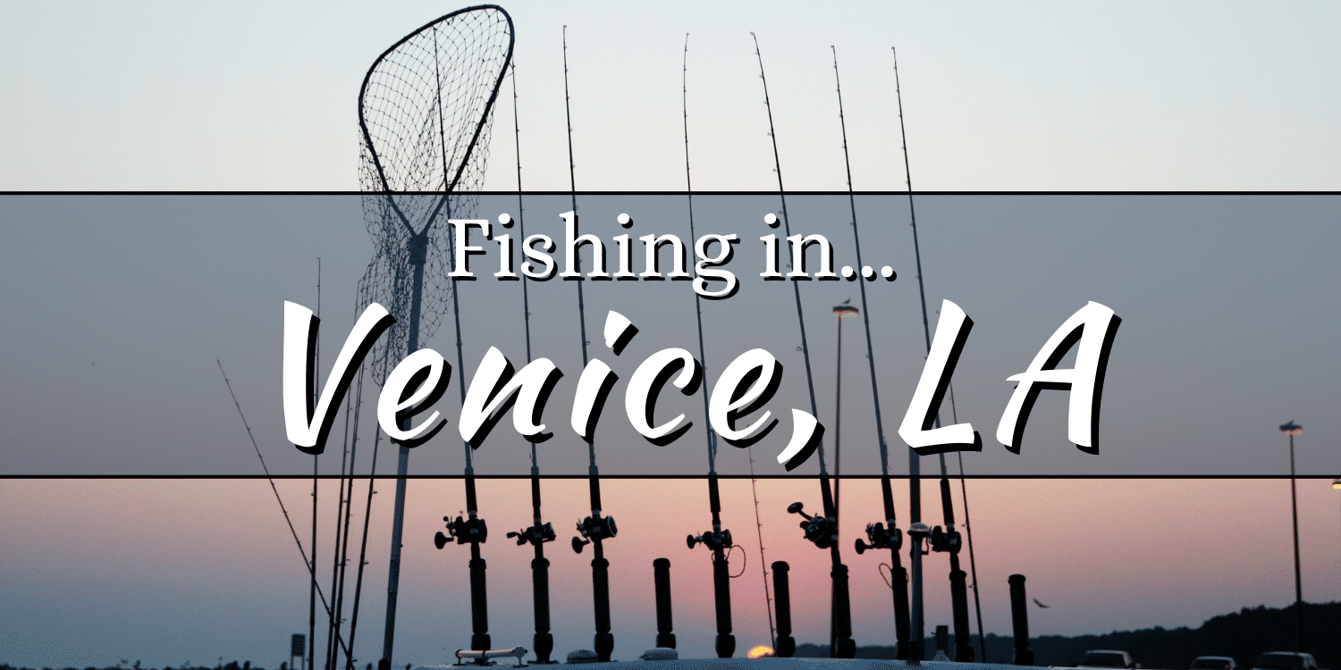 Fishing rods and a net on the back of a charter fishing boat in Venice, Louisiana