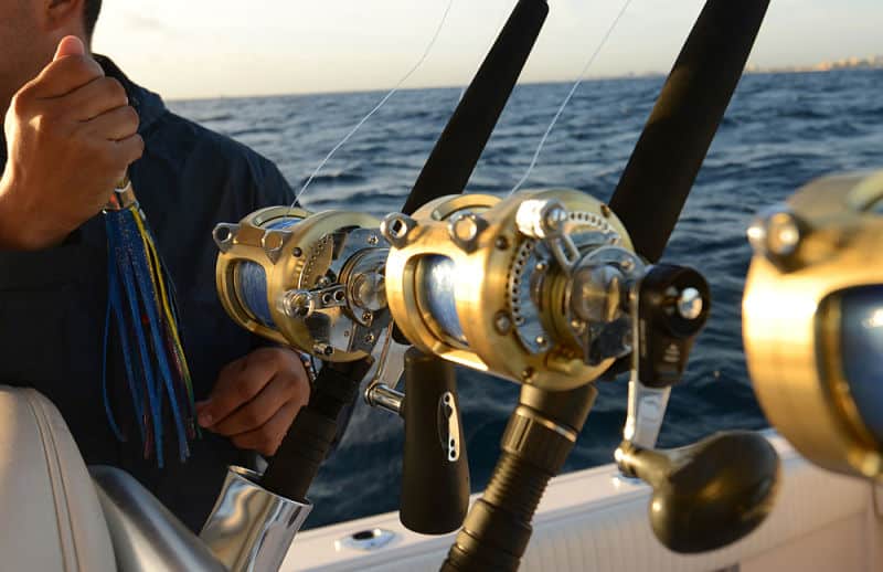 fishing in the gulf of mexico