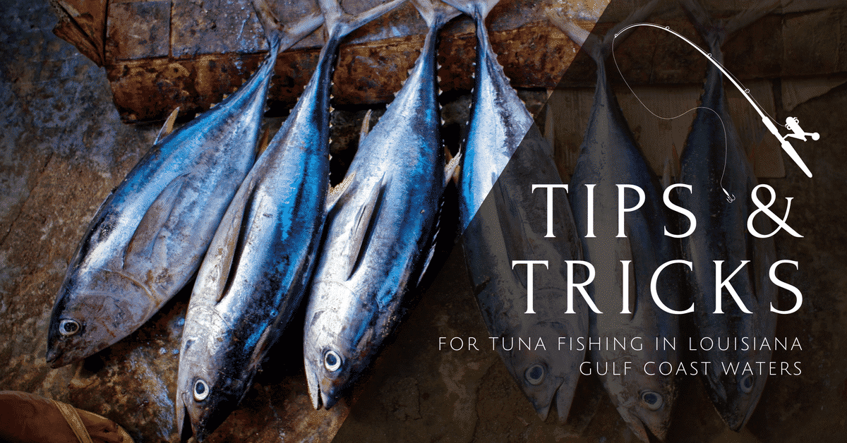 Tips and Tricks for Tuna Fishing in Louisiana Gulf Coast Waters