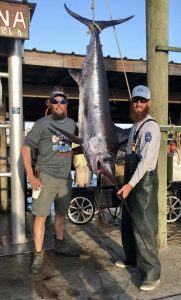 swordfish caught out of Venice LA