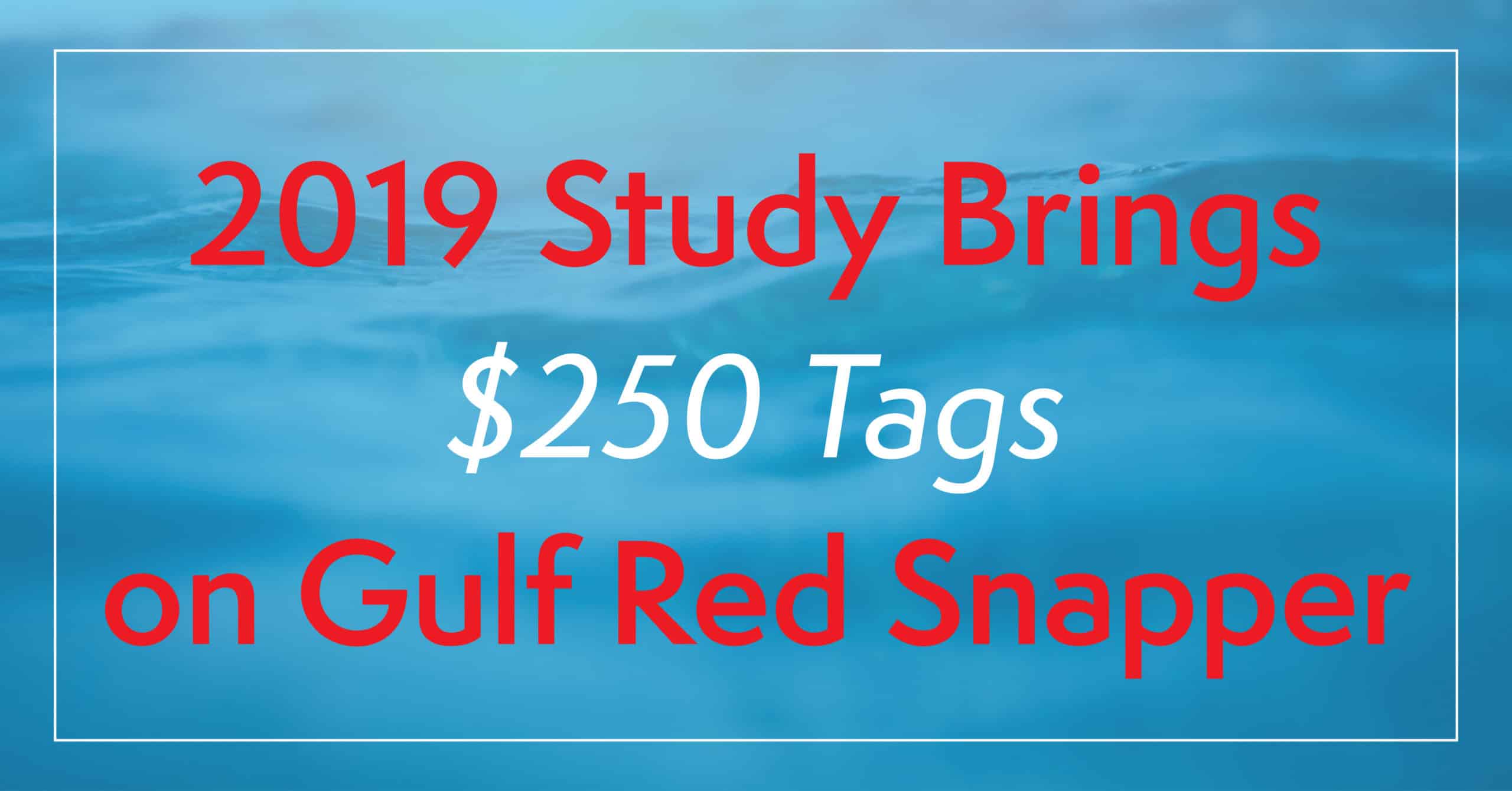 2019 Study Brings $250 Tags on Gulf Red Snapper