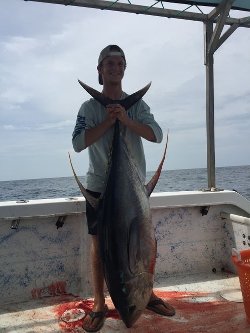 CATCHING YELLOWFIN TUNA