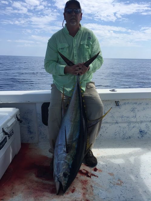 Yellowfin tuna venice la