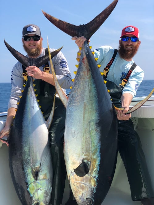catching yellow fin tuna