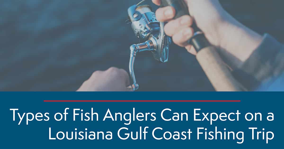 Types of Fish Anglers Can Expect on a Louisiana Gulf Coast Fishing Trip