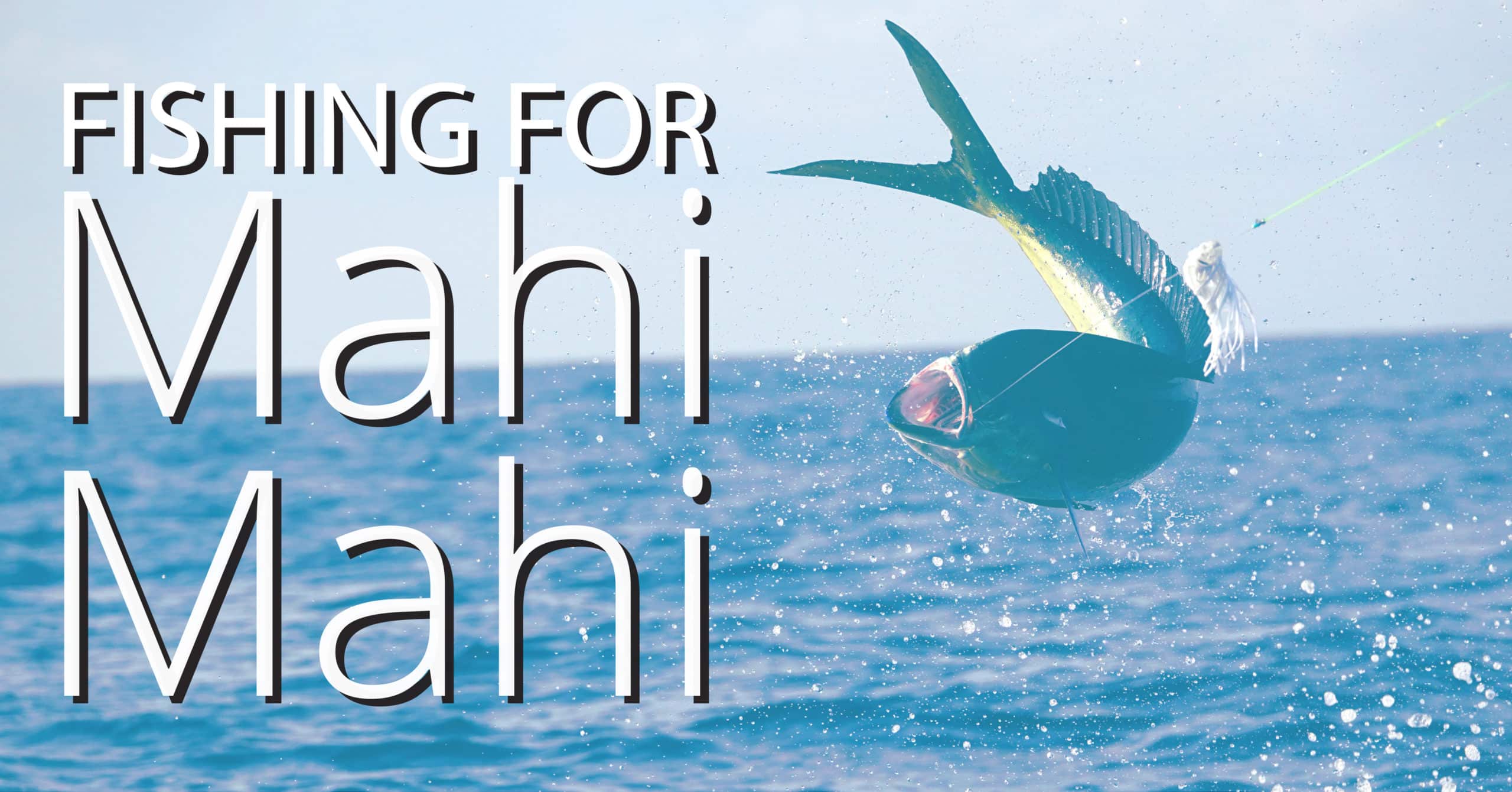 Fishing For Mahi Mahi