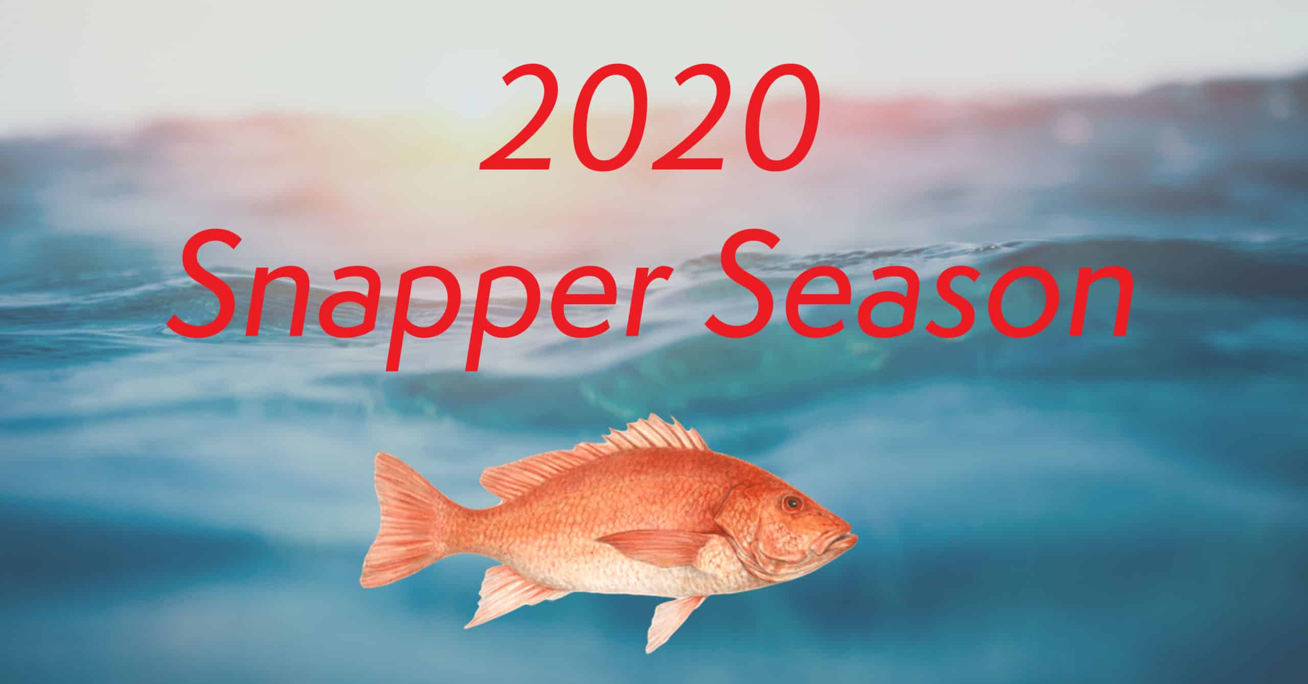 2020 Red Snapper Season