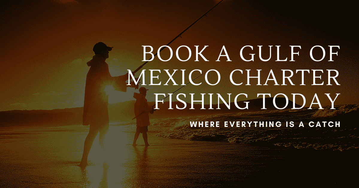 Book a Gulf of Mexico Charter Fishing  Today