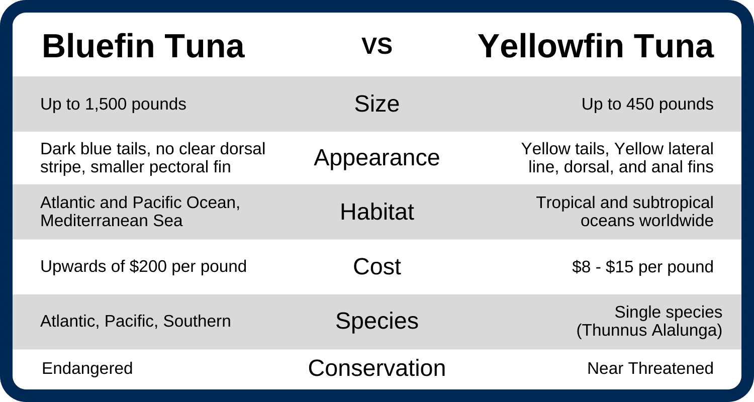 Bluefin vs Yellowfin Tuna comparison chart