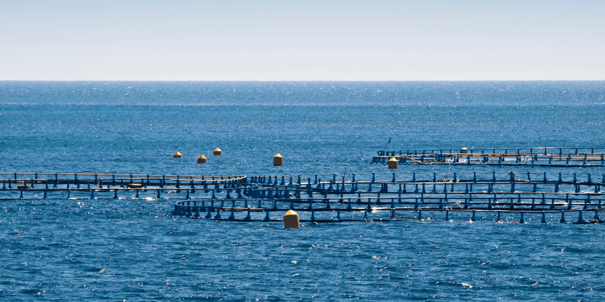 A view of the Gulf of Mexico just offshore