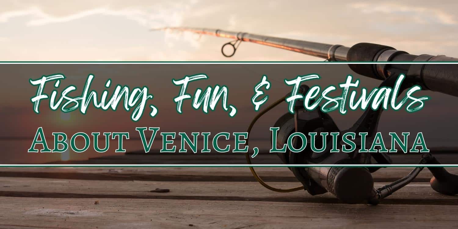 Fishing, Fun, & Festivals