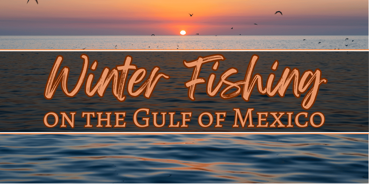A scenic view of the Gulf of Mexico on a winter evening