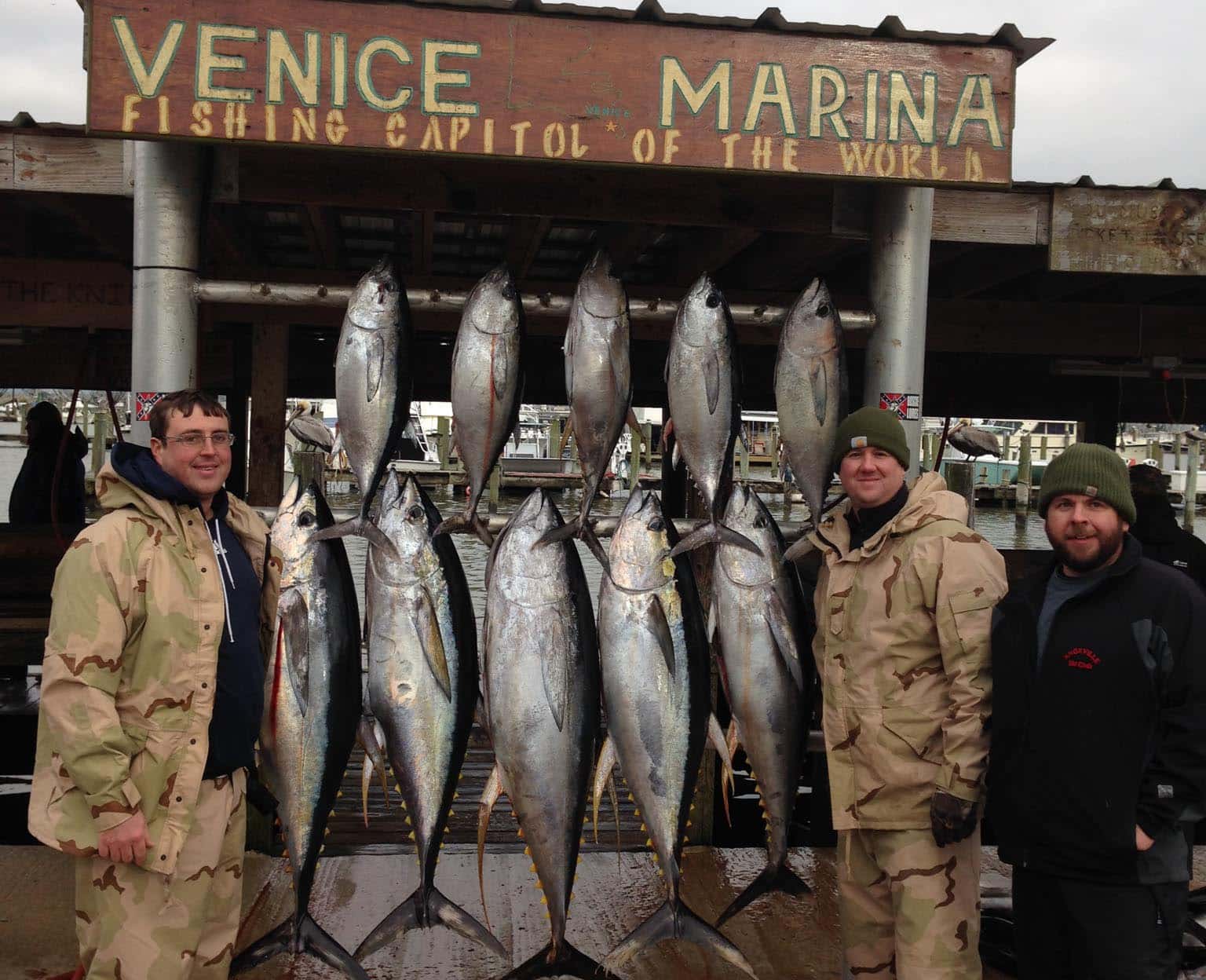 The catch from the Winter Tuna Run in Venice, La