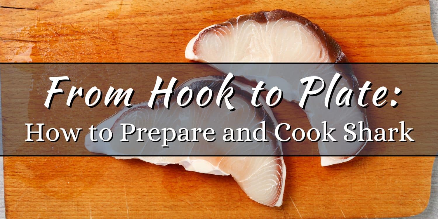 How to Prepare and Cook Shark