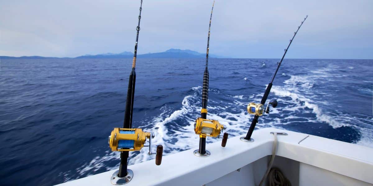 shark fishing gear