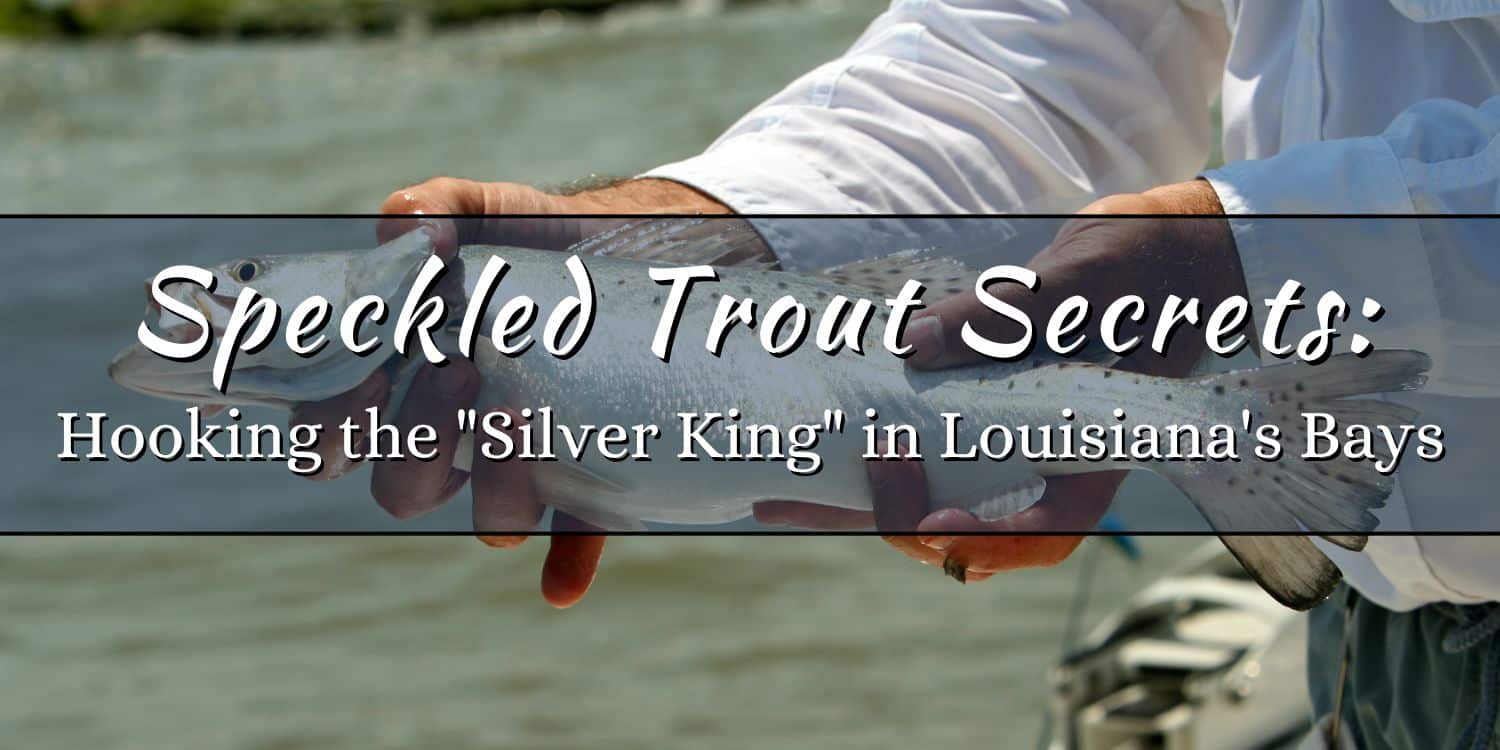 Speckled Trout Secrets: Hooking the "Silver King" in Louisiana's Bays