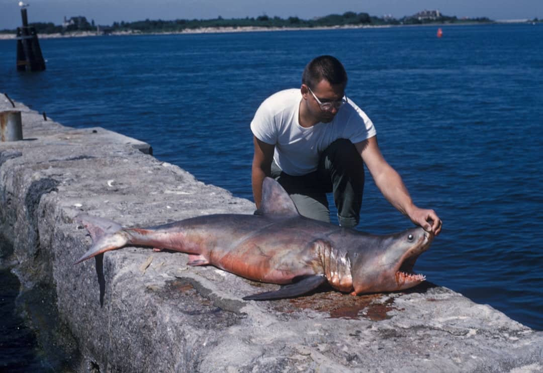 An angler holding a large Yellowfin Tuna catch on a boat.