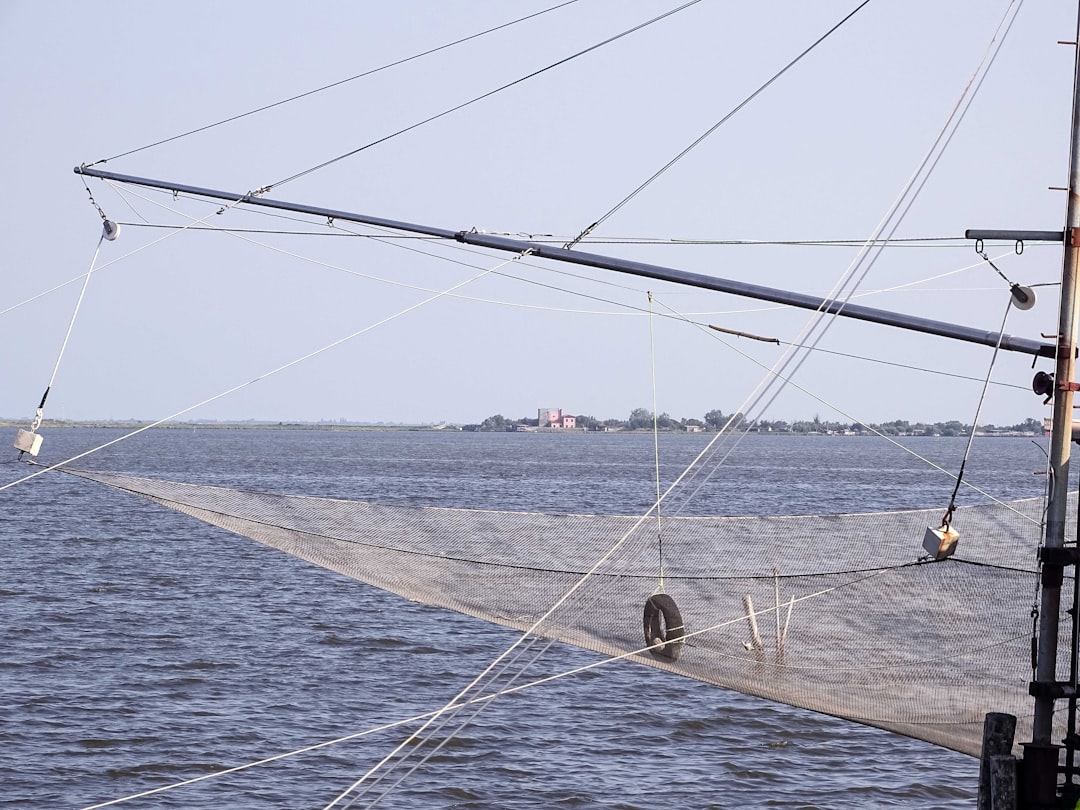 A scenic view of fishing boats in Venice, Louisiana.